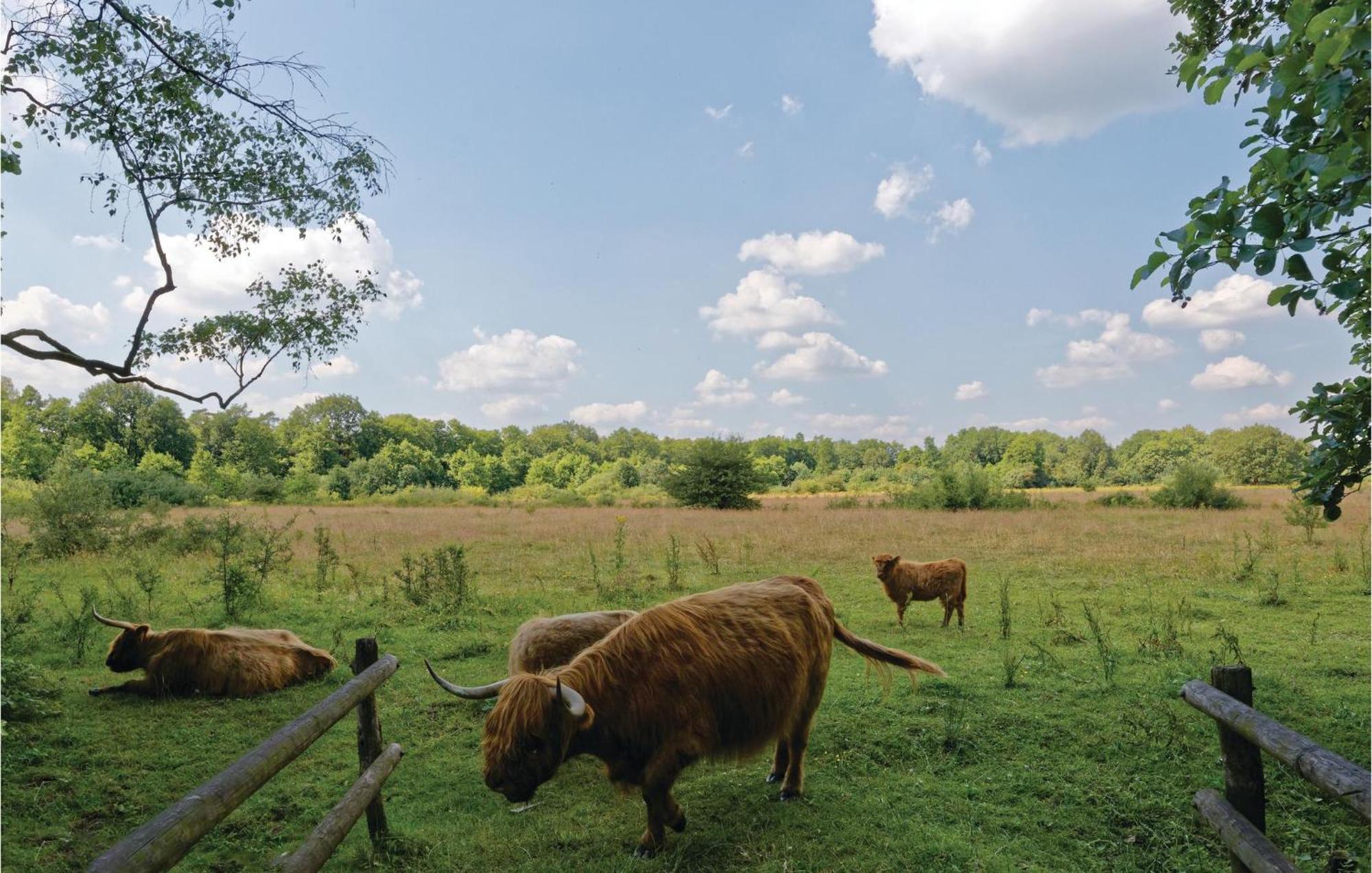 Vossenhol Villa Ommen Bagian luar foto